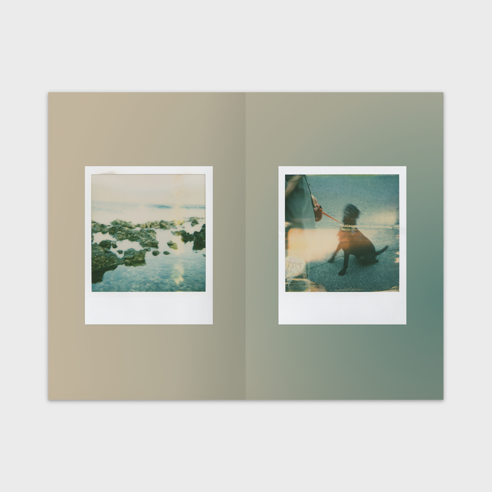 Latent — Spread 03
